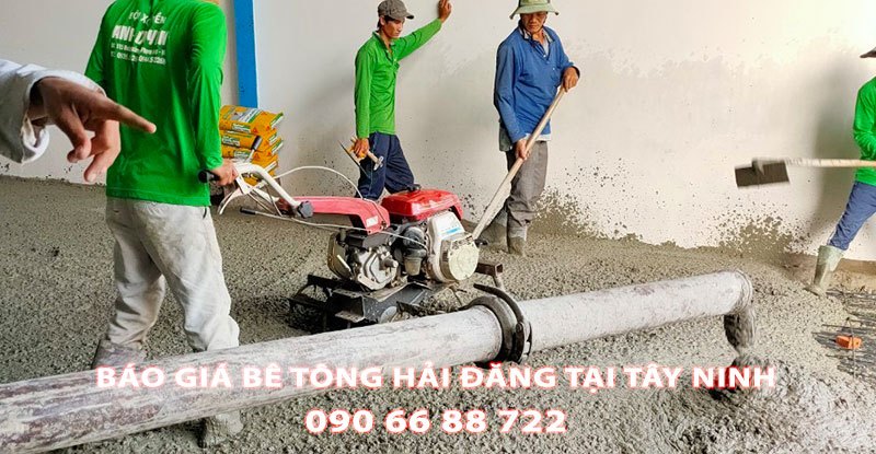 Bang-Gia-Be-Tong-Hai-Dang-Tai-Tay-Ninh-Moi-Nhat (1)