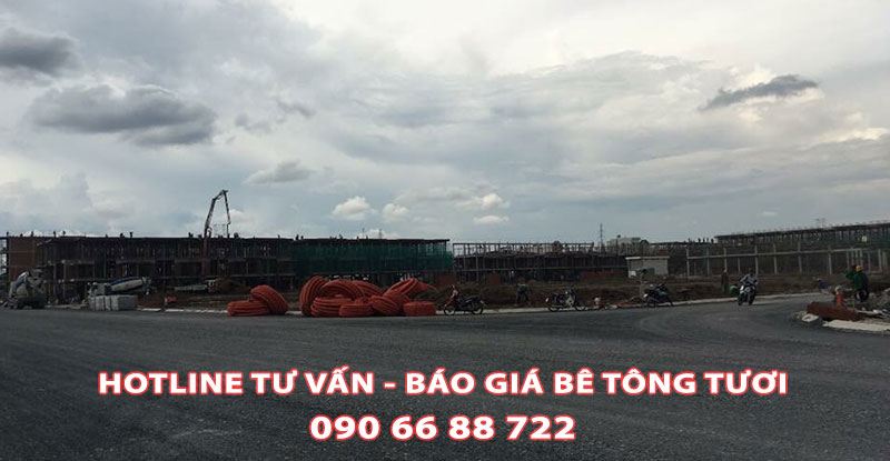 Cach-Chon-Mac-Be-Tong-Tuoijpg (1)