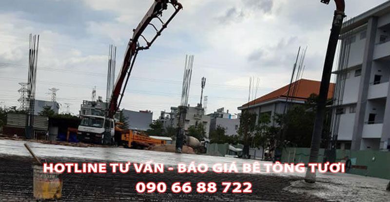 Cach-Chon-Mac-Be-Tong-Tuoijpg (3)