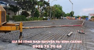 Bang-Gia-Be-Tong-Nam-Nguyen-Tai-Binh-Chanh-Moi-Nhat (3)