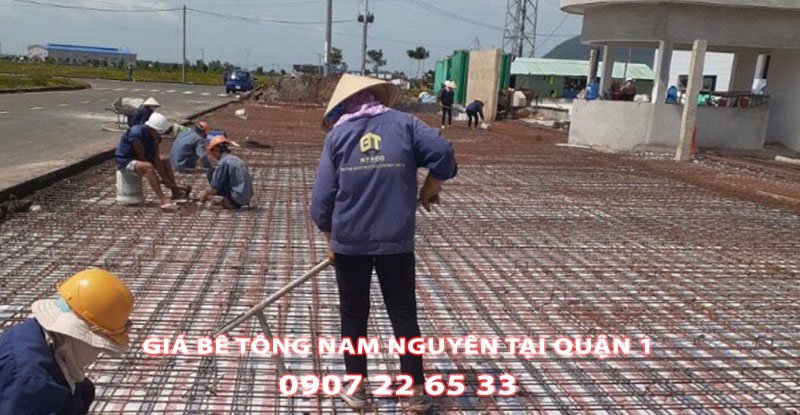 Bang-Gia-Be-Tong-Nam-Nguyen-Tai-Quan-1-Moi-Nhat (2)