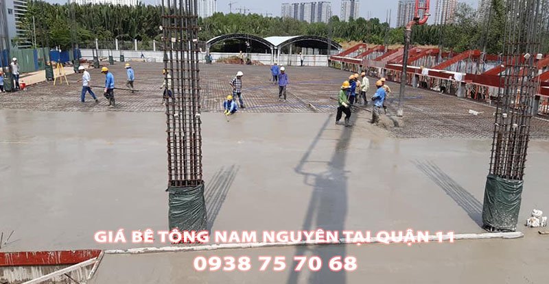 Bang-Gia-Be-Tong-Nam-Nguyen-Tai-Quan-11 (1)