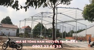 Bang-Gia-Be-Tong-Nam-Nguyen-Tai-Quan-5-Moi-Nhat (1)