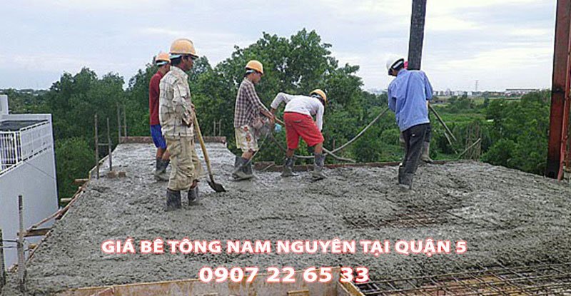 Bang-Gia-Be-Tong-Nam-Nguyen-Tai-Quan-5-Moi-Nhat (3)