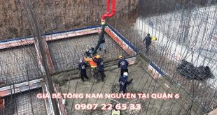 Bang-Gia-Be-Tong-Nam-Nguyen-Tai-Quan-6 (1)