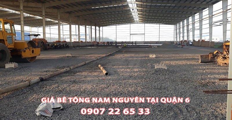 Bang-Gia-Be-Tong-Nam-Nguyen-Tai-Quan-6 (2)