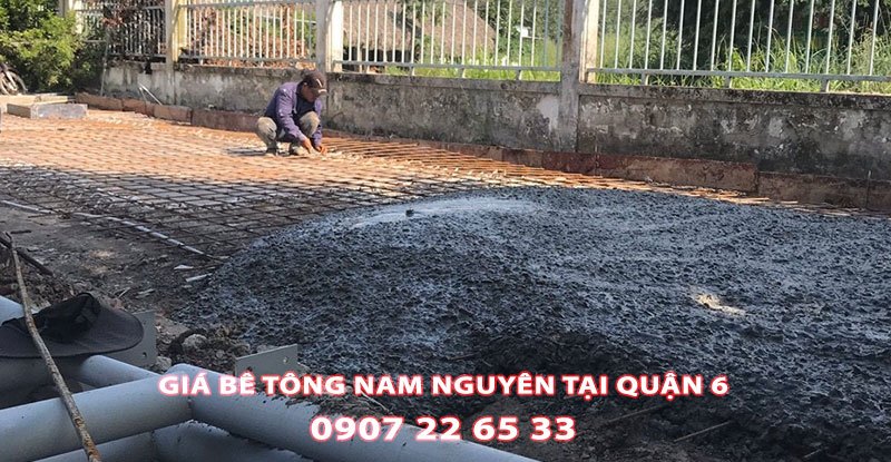 Bang-Gia-Be-Tong-Nam-Nguyen-Tai-Quan-6 (3)