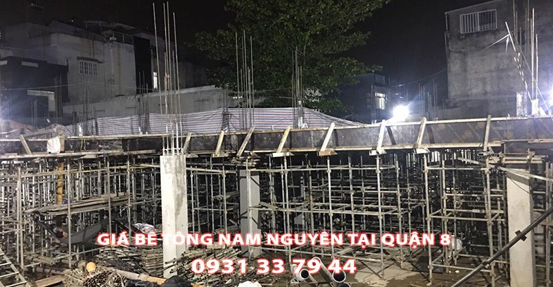 Bang-Gia-Be-Tong-Nam-Nguyen-Tai-Quan-8-Moi-Nhat (1)