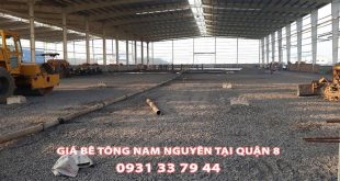 Bang-Gia-Be-Tong-Nam-Nguyen-Tai-Quan-8-Moi-Nhat (3)