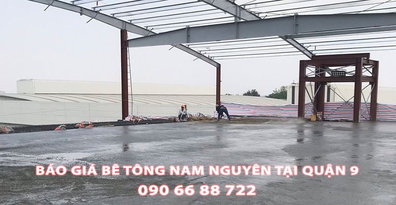 Bang-Gia-Be-Tong-Nam-Nguyen-Tai-Quan-9-Moi-Nhat (1)