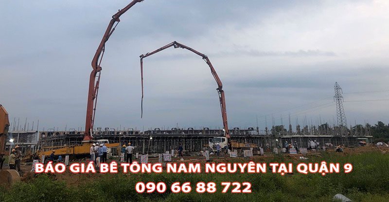Bang-Gia-Be-Tong-Nam-Nguyen-Tai-Quan-9-Moi-Nhat (3)
