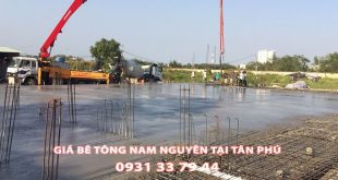 Bang-Gia-Be-Tong-Nam-Nguyen-Tai-Tan-Phu-Moi-Nhat (1)