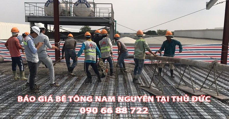 Bang-Gia-Be-Tong-Nam-Nguyen-Tai-Thu-Duc-Moi-Nhat (2)