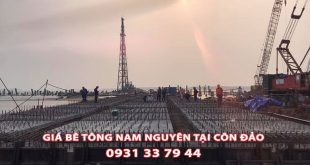 Bang-Gia-Be-Tong-Nam-Nguyen-Tai-Con-Dao-Moi-Nhat (1)