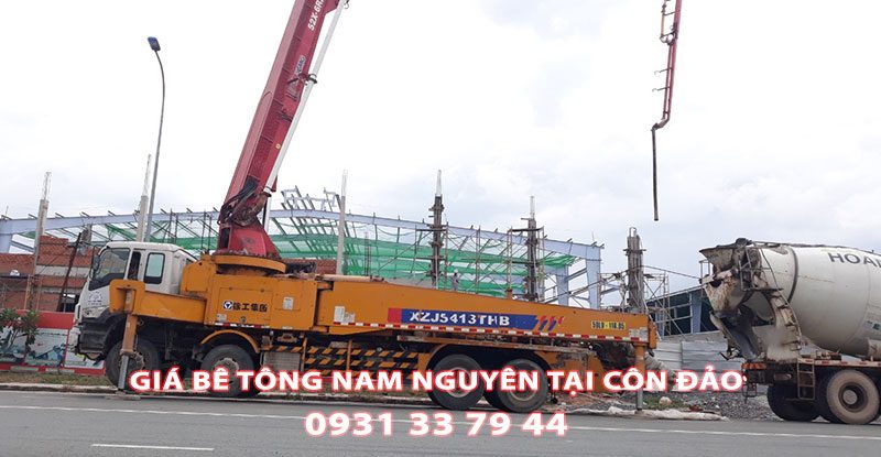 Bang-Gia-Be-Tong-Nam-Nguyen-Tai-Con-Dao-Moi-Nhat (2)