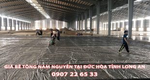 Bang-Gia-Be-Tong-Nam-Nguyen-Tai-Duc-Hoa-Moi-Nhat (2)