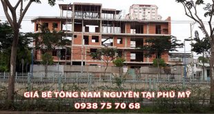 Bang-Gia-Be-Tong-Nam-Nguyen-Tai-Phu-My-Moi-Nhat (1)