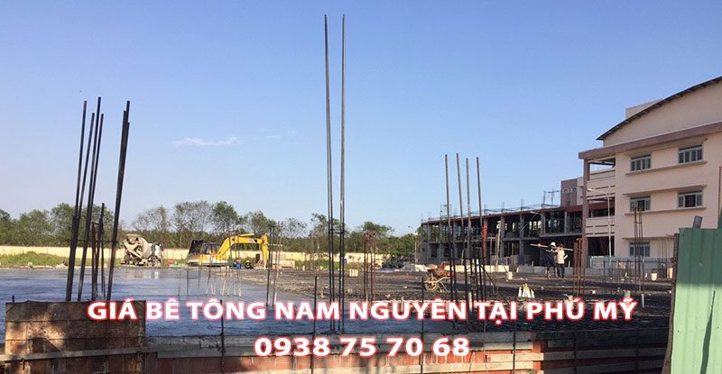Bang-Gia-Be-Tong-Nam-Nguyen-Tai-Phu-My-Moi-Nhat (3)