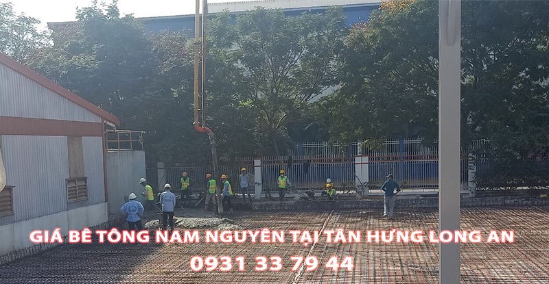 Bang-Gia-Be-Tong-Nam-Nguyen-Tai-Tan-Hung-Moi-Nhat (3)