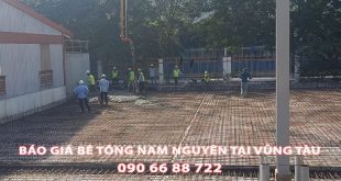 Bang-Gia-Be-Tong-Nam-Nguyen-Tai-Vung-Taup-Moi-Nhat (1)
