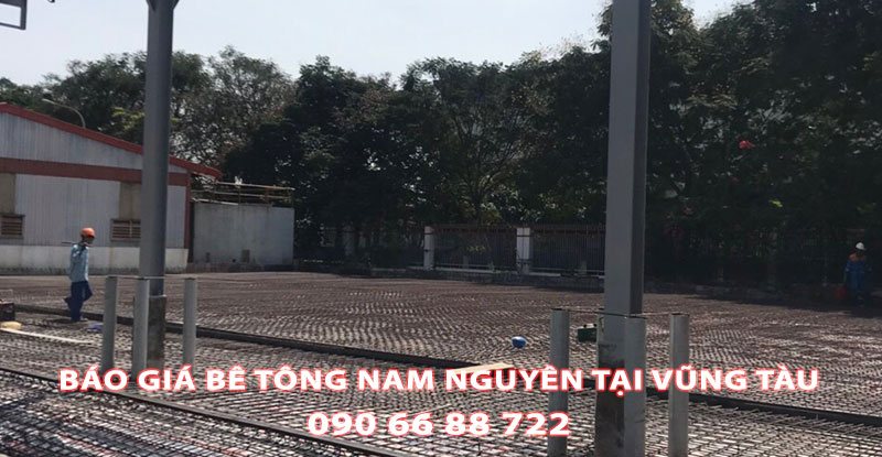 Bang-Gia-Be-Tong-Nam-Nguyen-Tai-Vung-Taup-Moi-Nhat (2)