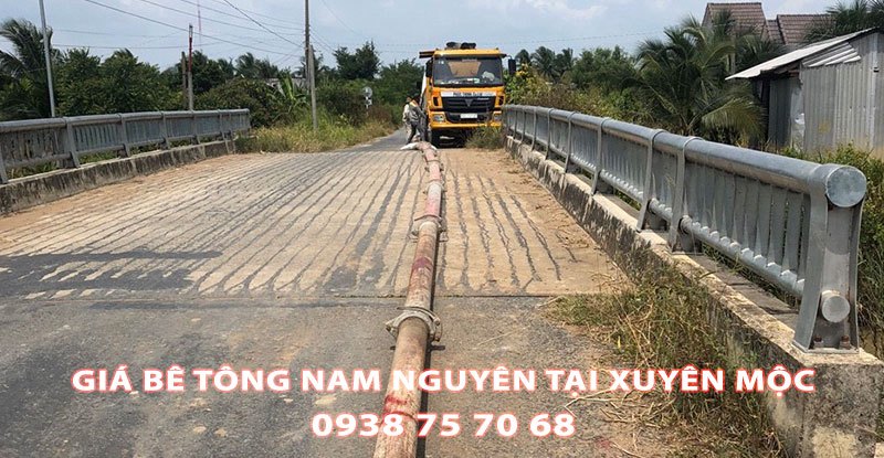 Bang-Gia-Be-Tong-Nam-Nguyen-Tai-Xuyen-Moc (1)