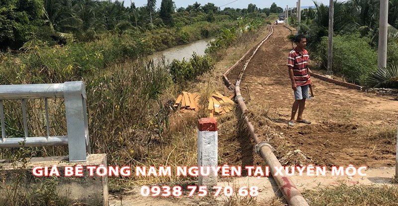 Bang-Gia-Be-Tong-Nam-Nguyen-Tai-Xuyen-Moc (1)