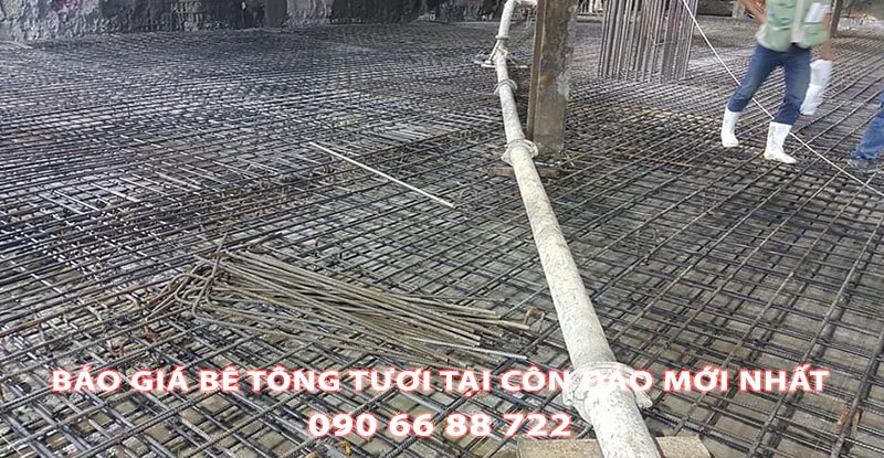 Bang-Gia-Be-Tong-Tuoi-Tai-Con-Dao (3)