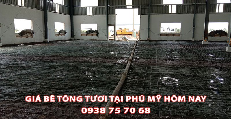 Bang-Gia-Be-Tong-Tuoi-Tai-Phu-My-Tot-Nhat (3)
