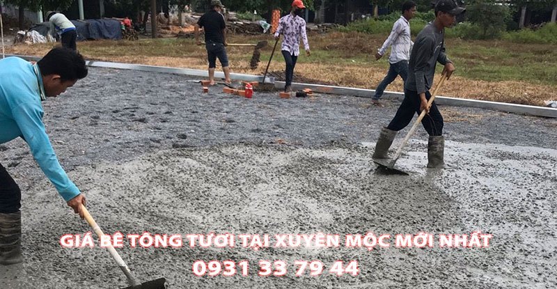 Bang-Gia-Be-Tong-Tuoi-Tai-Xuyen-Moc-Moi-Nhat (1)