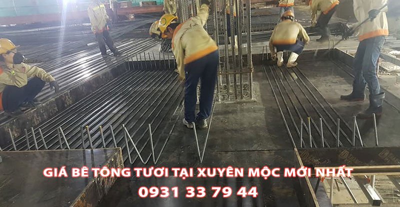 Bang-Gia-Be-Tong-Tuoi-Tai-Xuyen-Moc-Moi-Nhat (3)