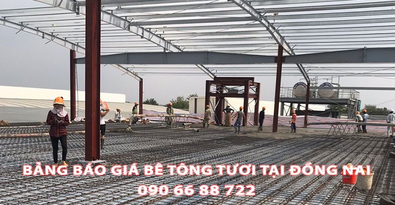 Bang-Bao-Gia-Be-Tong-Tuoi-Tai-Dong-Nai-Moi-Nhat (2)