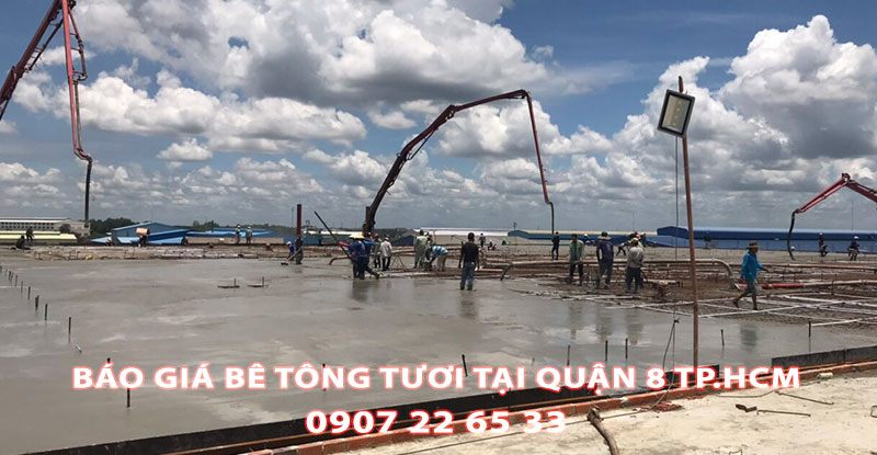 Bang-Bao-Gia-Be-Tong-Tuoi-Tai-Quan-8-Moi-Nhat (2)