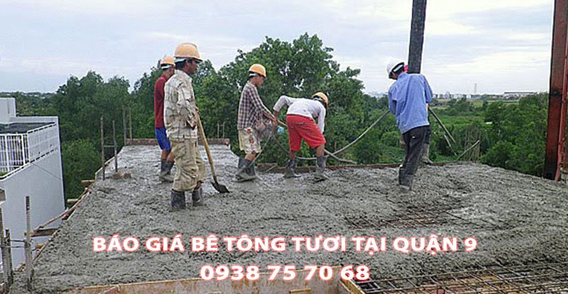 Bang-Bao-Gia-Be-Tong-Tuoi-Tai-Quan-9-Moi-Nhat (1)